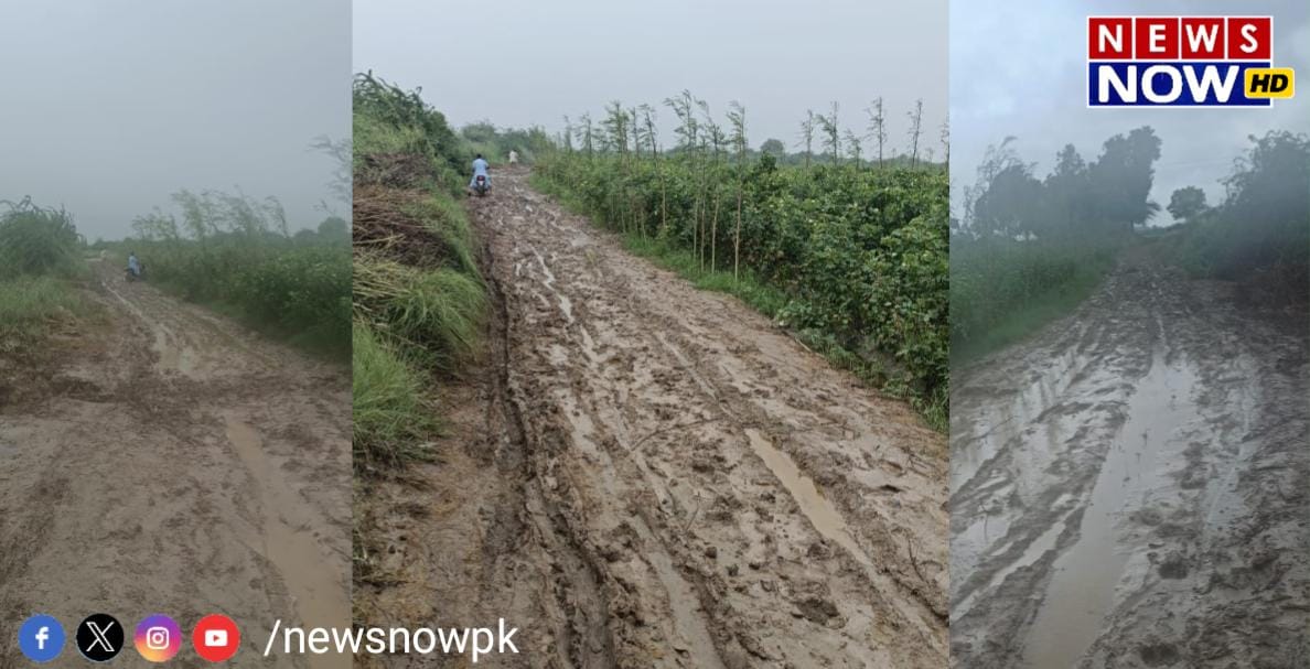 WhatsApp Image 2024-08-30 at 11.45.55