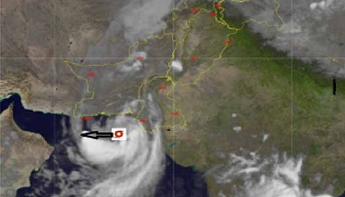 WhatsApp Image 2024-08-31 at 13.00.41