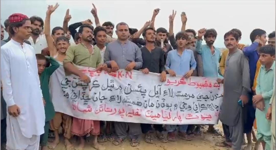 WhatsApp Image 2024-08-31 at 14.44.54