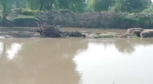 WhatsApp Image 2024-09-01 at 21.49.09