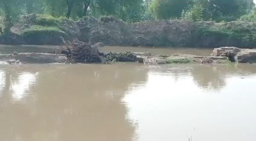 WhatsApp Image 2024-09-01 at 21.49.09