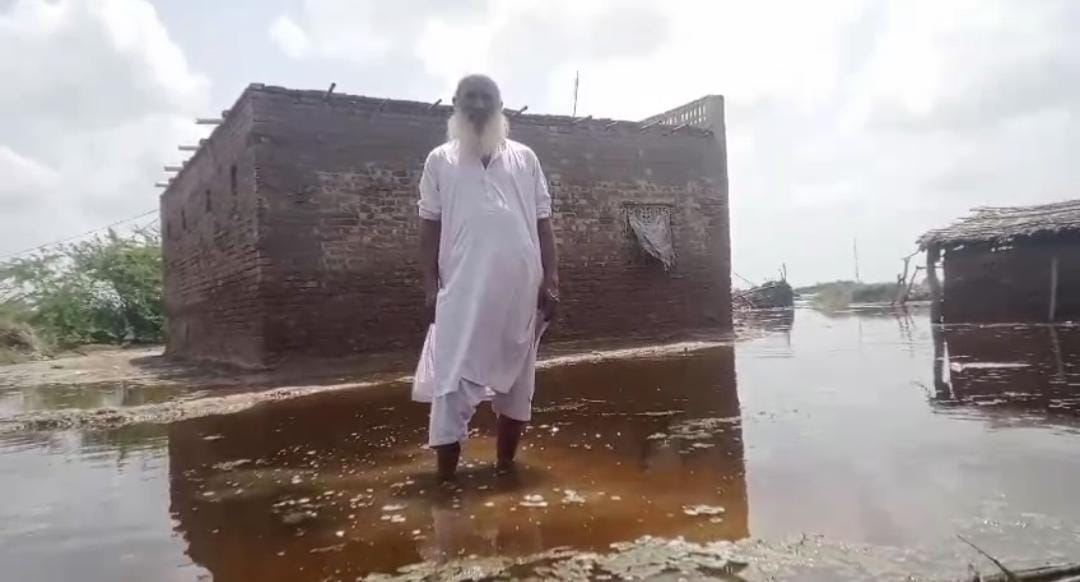 WhatsApp Image 2024-09-01 at 21.50.44