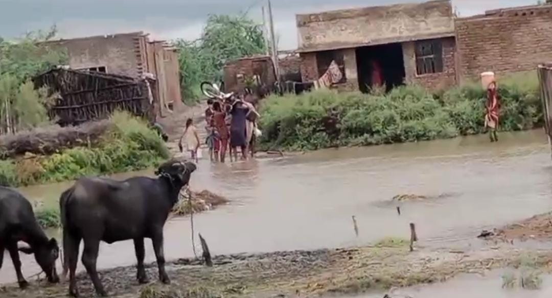 WhatsApp Image 2024-09-02 at 11.43.54_2d4b758a