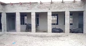 WhatsApp Image 2024-09-02 at 17.38.09