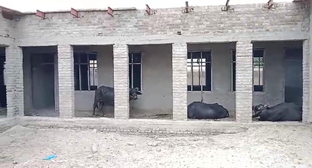 WhatsApp Image 2024-09-02 at 17.38.09