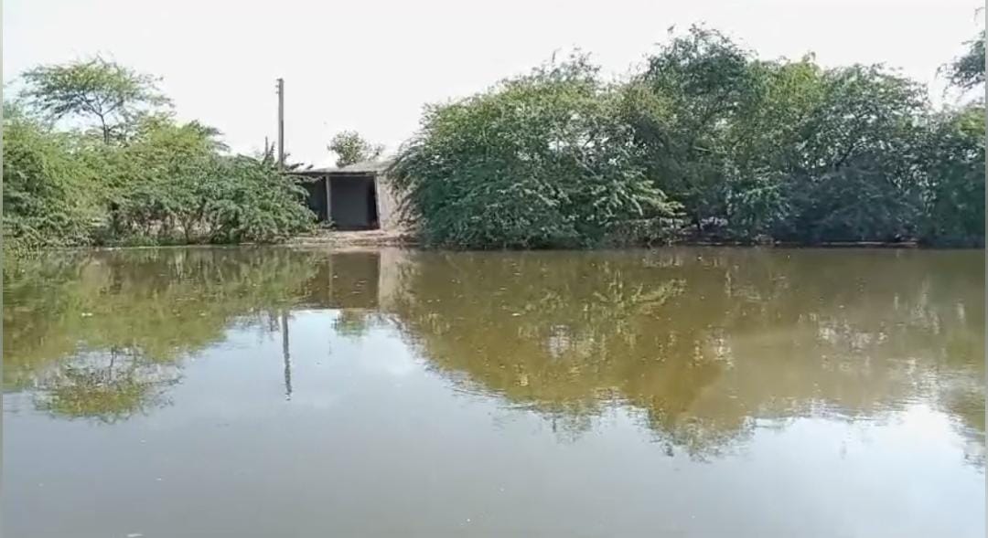 WhatsApp Image 2024-09-03 at 13.29.48_5476c6e2