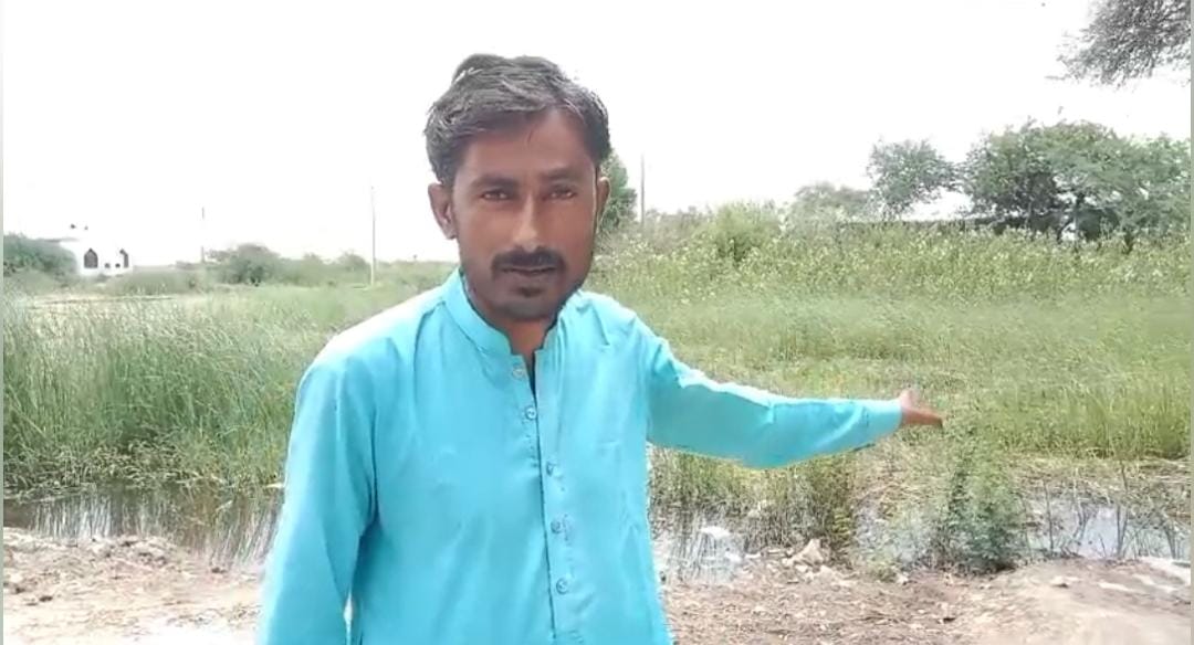 WhatsApp Image 2024-09-04 at 12.59.07_d6a2ed1f