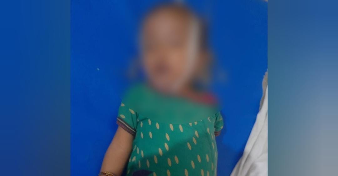 WhatsApp Image 2024-09-05 at 12.24.05