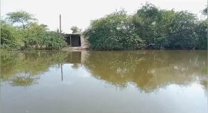 WhatsApp Image 2024-09-06 at 11.42.00_08a6a05c