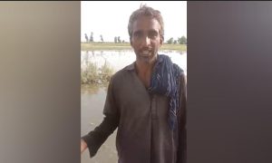 WhatsApp Image 2024-09-06 at 12.43.58_c52aad9a