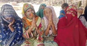 WhatsApp Image 2024-09-07 at 14.13.58_dddbe63d