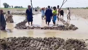 WhatsApp Image 2024-09-08 at 16.21.10_9a69febf