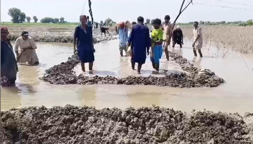 WhatsApp Image 2024-09-08 at 16.21.10_9a69febf