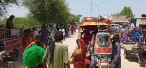 WhatsApp Image 2024-09-09 at 14.56.39