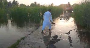 WhatsApp Image 2024-09-11 at 21.51.50_0b2371d0