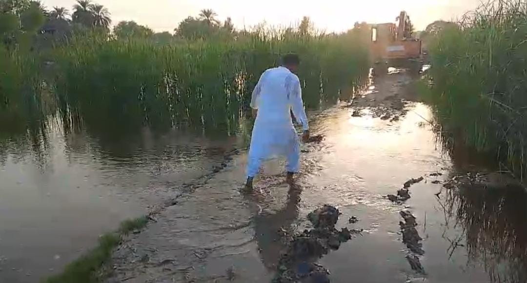 WhatsApp Image 2024-09-11 at 21.51.50_0b2371d0