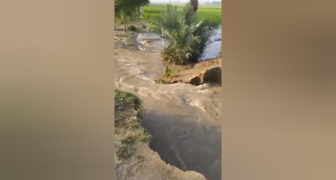 WhatsApp Image 2024-09-12 at 12.34.47_f19a1b4c