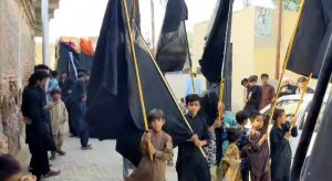 WhatsApp Image 2024-09-12 at 18.46.44_38f54295