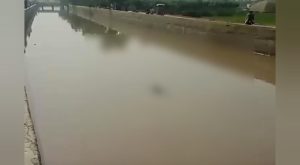 WhatsApp Image 2024-09-14 at 15.28.51_eff5fdc0