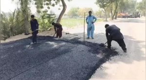 WhatsApp Image 2024-09-21 at 14.52.56_26fc2ad3