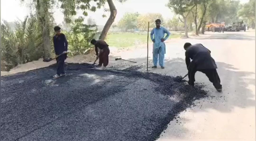 WhatsApp Image 2024-09-21 at 14.52.56_26fc2ad3