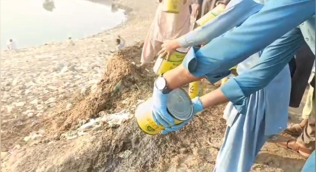 WhatsApp Image 2024-10-24 at 16.35.39_d845c541