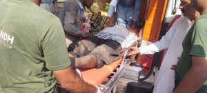 WhatsApp Image 2024-10-24 at 16.54.43_06766961