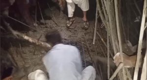 WhatsApp Image 2024-10-24 at 21.29.21_7377d4cf