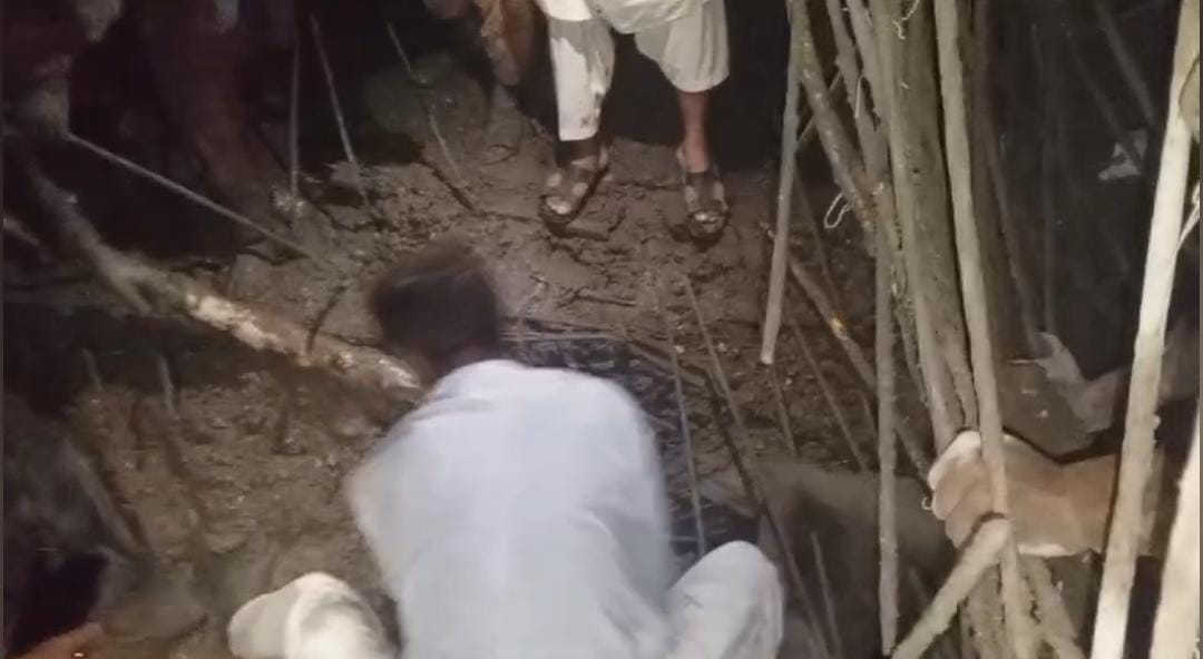 WhatsApp Image 2024-10-24 at 21.29.21_7377d4cf