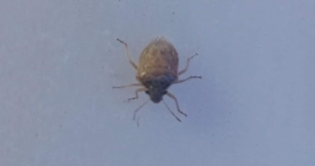 WhatsApp Image 2024-10-25 at 14.16.52_5ef5494e