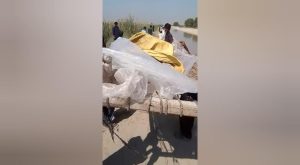 WhatsApp Image 2024-10-25 at 14.56.35_d3d670fa