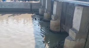 WhatsApp Image 2024-10-25 at 15.29.49_5a069e9d