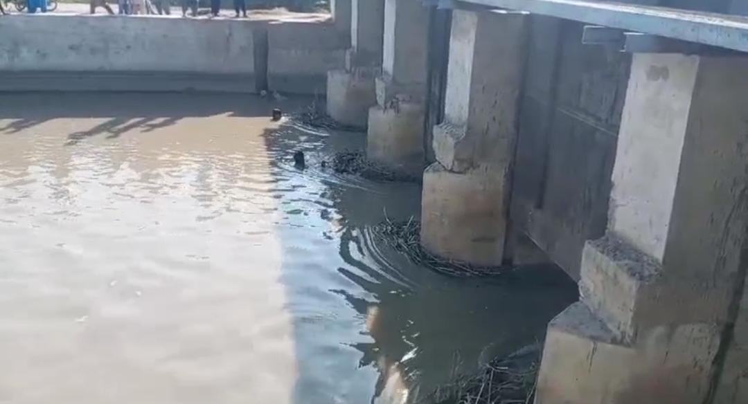 WhatsApp Image 2024-10-25 at 15.29.49_5a069e9d