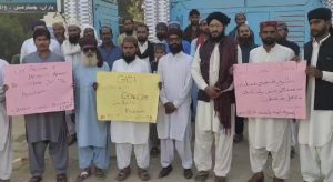 WhatsApp Image 2024-10-25 at 20.13.08_a8f082ba