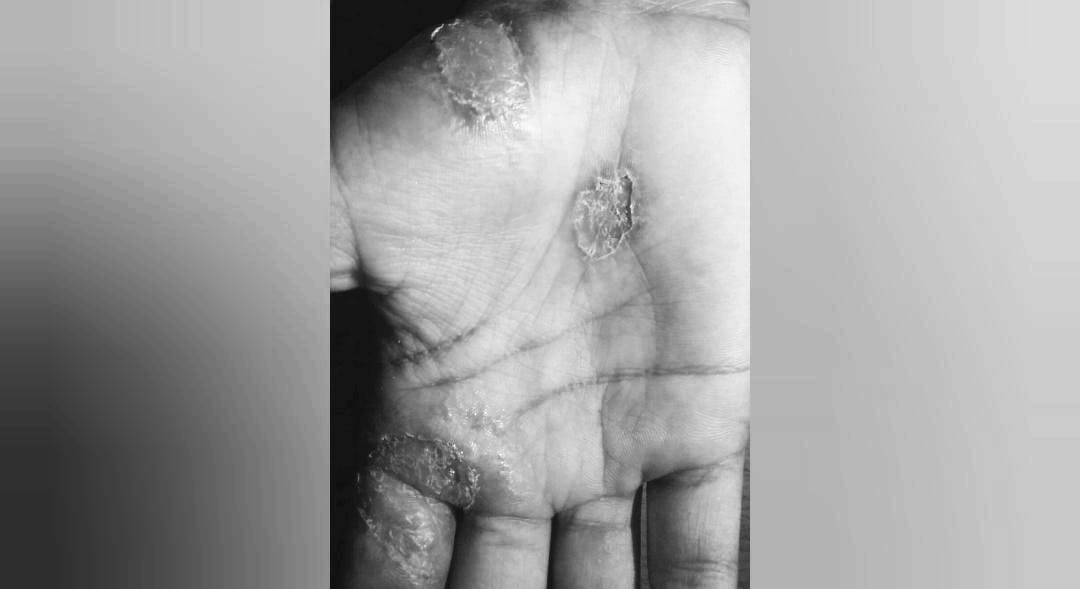 WhatsApp Image 2024-10-27 at 11.51.38_25b2a721