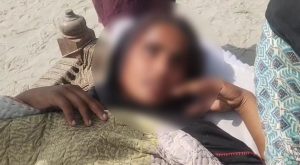 WhatsApp Image 2024-10-28 at 15.30.49_ce8c9ef1