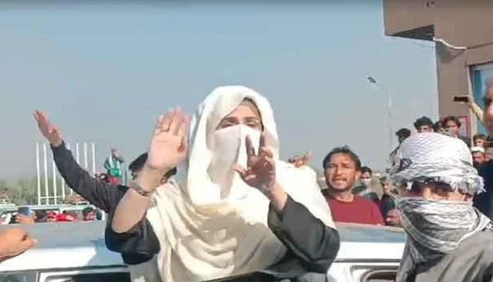 388064_8627603_updates