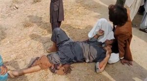 Maxwell-Rauf-T20-Preview