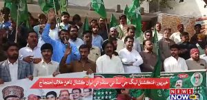 Maxwell-Rauf-T20-Preview