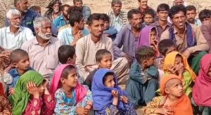 Maxwell-Rauf-T20-Preview