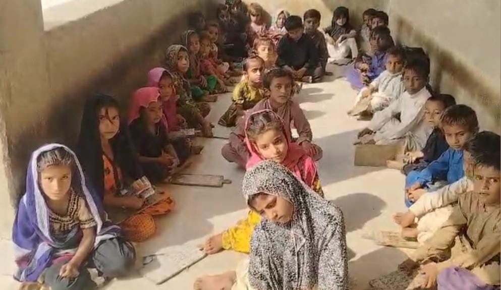 WhatsApp Image 2024-11-15 at 17.12.00_4656df7d