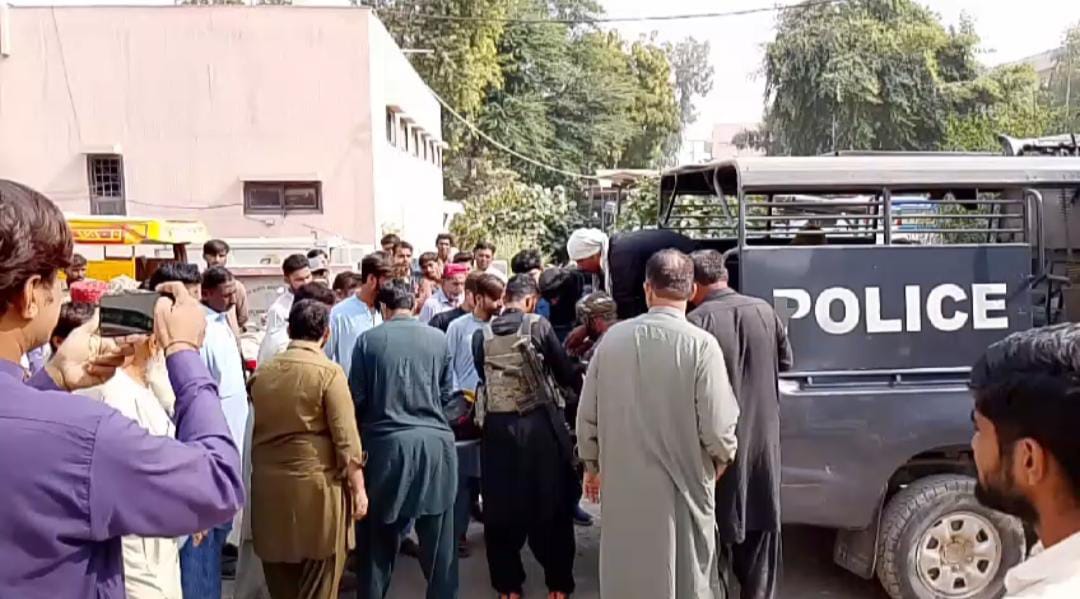 WhatsApp Image 2024-11-18 at 13.20.11_9d3ae426