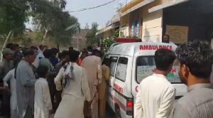 WhatsApp Image 2024-11-18 at 13.45.43_dd5d962d