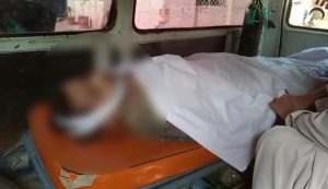 WhatsApp Image 2024-11-19 at 12.21.35_46e3248a