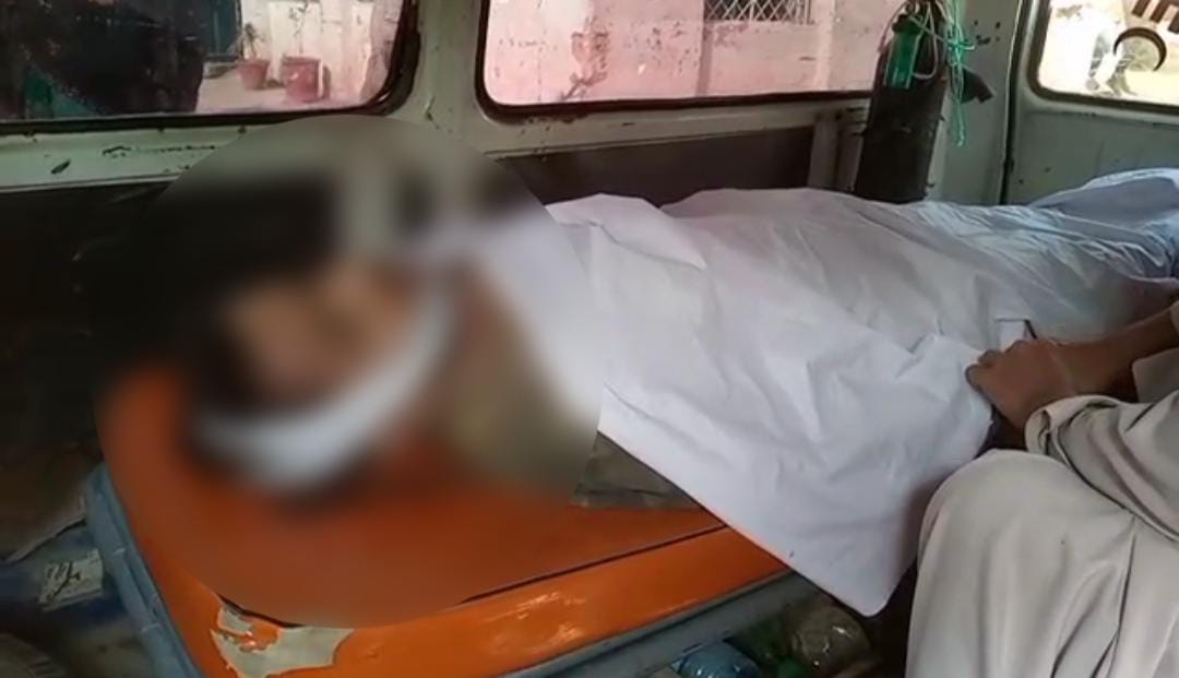 WhatsApp Image 2024-11-19 at 12.21.35_46e3248a