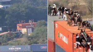 WhatsApp Image 2024-11-26 at 17.29.39_dbf893c5