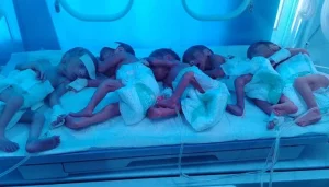 394269_3570814_updates