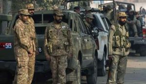 394675_6823232_updates