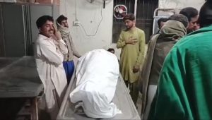 WhatsApp Image 2025-02-09 at 13.37.32_43b6225a