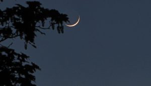 Mercury and the Crescent Moon by Ben Fernando_2009_Young_Commended2